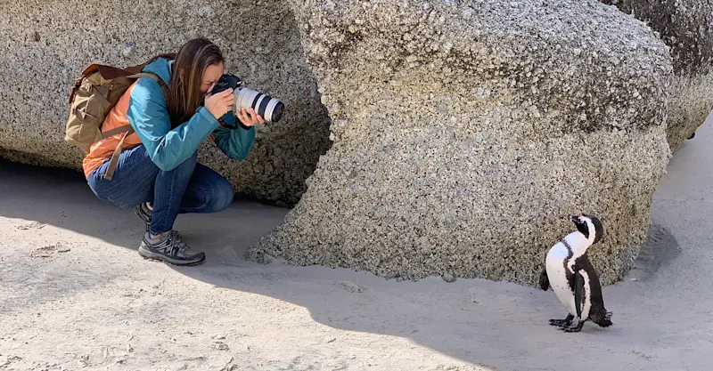 Hanging out with the coolest local on the beach in Capetown, South Africa.