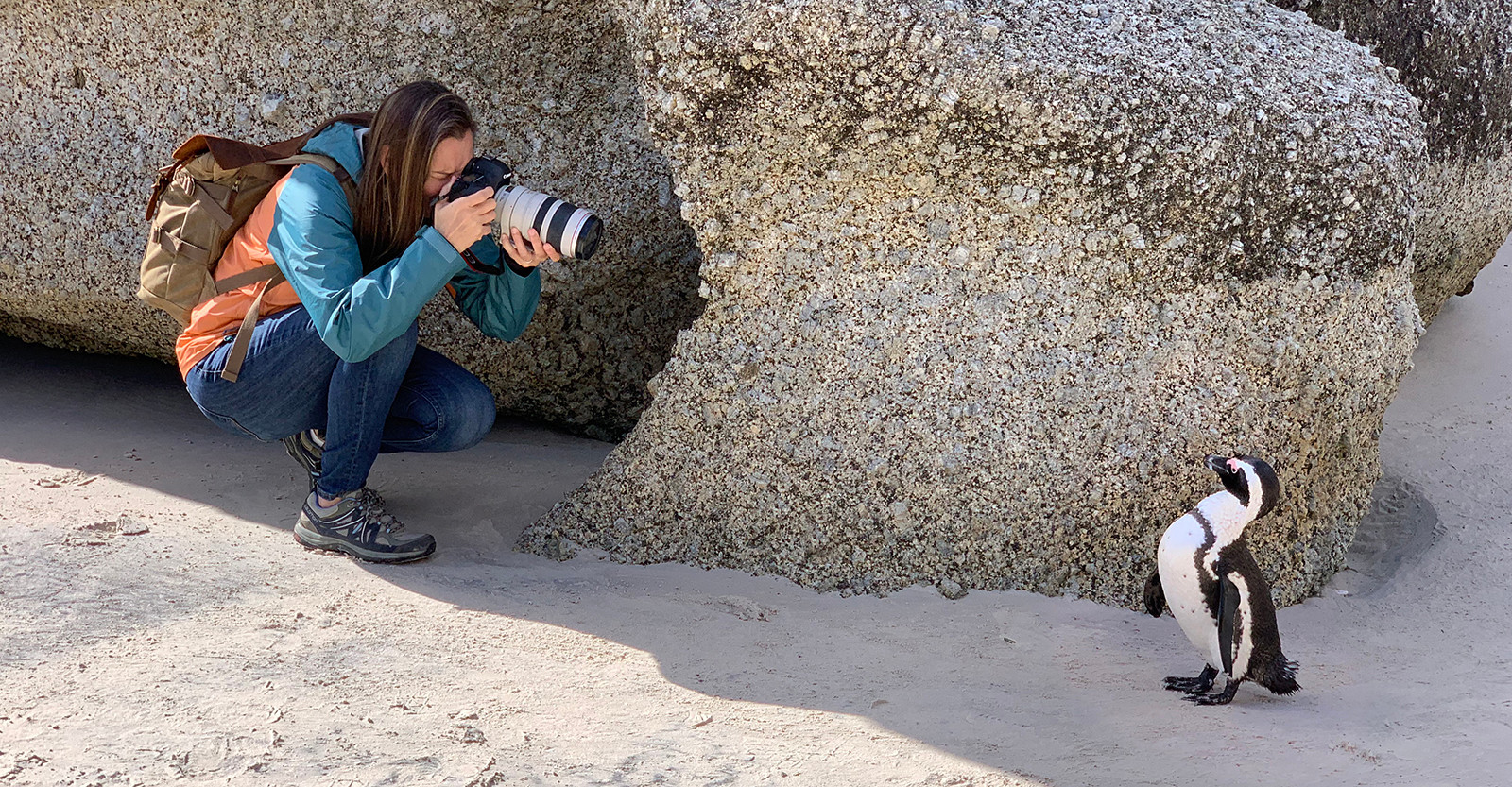Hanging out with the coolest local on the beach in Capetown, South Africa.