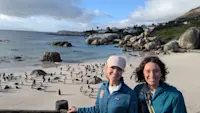 Visiting the African Penguins in Boulders Beach in Cape Town, South Africa.