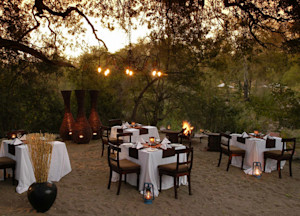 Sabi Sabi Little Bush Camp Sabi Sand Game Reserve South Africa