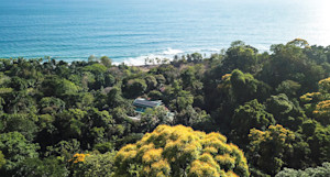 Aerial view of the lodge with a beach view