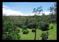 Slideshow Thumbnail 1 of 12