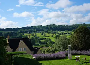 View from back patio
