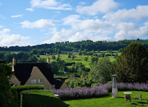 View from back patio