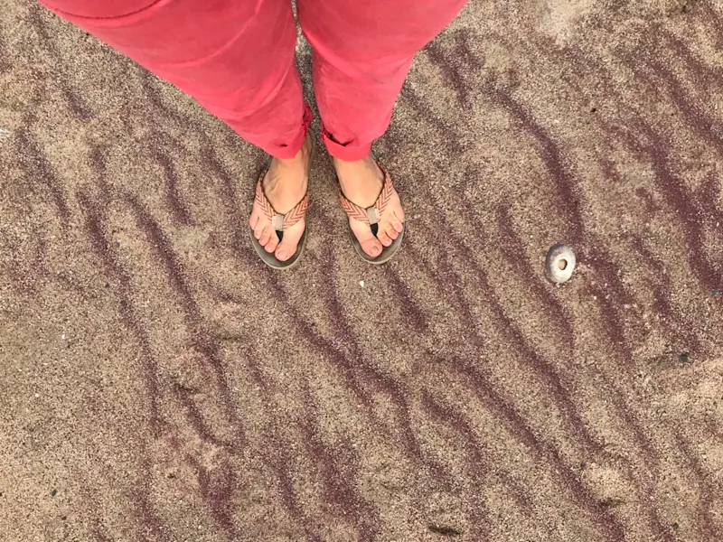 Finally made it to the red sands of the Skeleton Coast in Namibia.