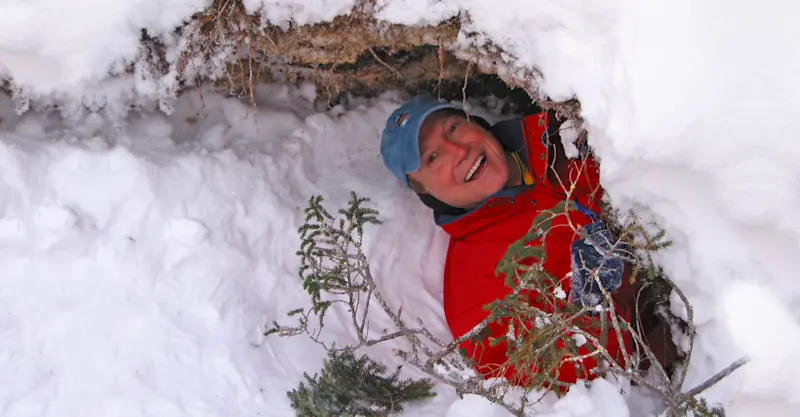 Nat Hab guest in abandoned polar bear den, Churchill, Manitoba.