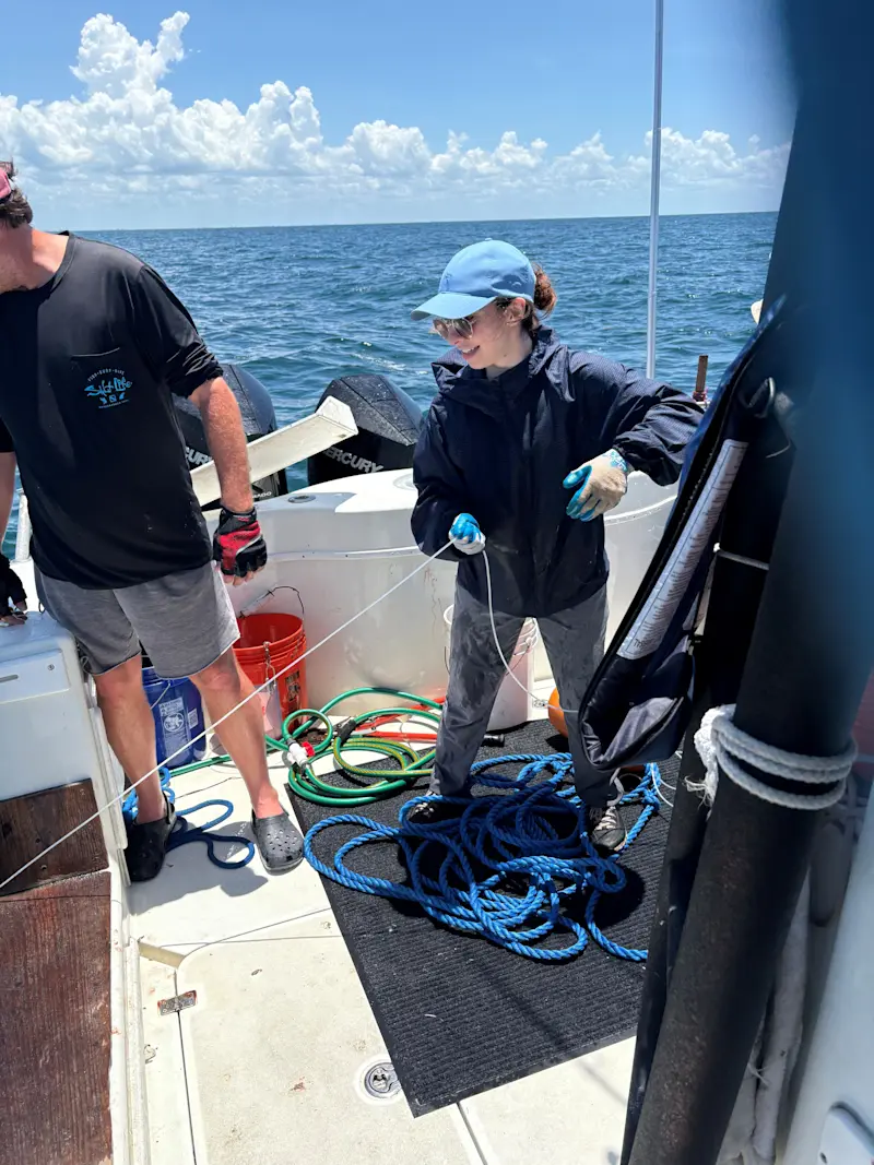 Studying, tagging and releasing sharks on an Earthwatch expedition in Florida.