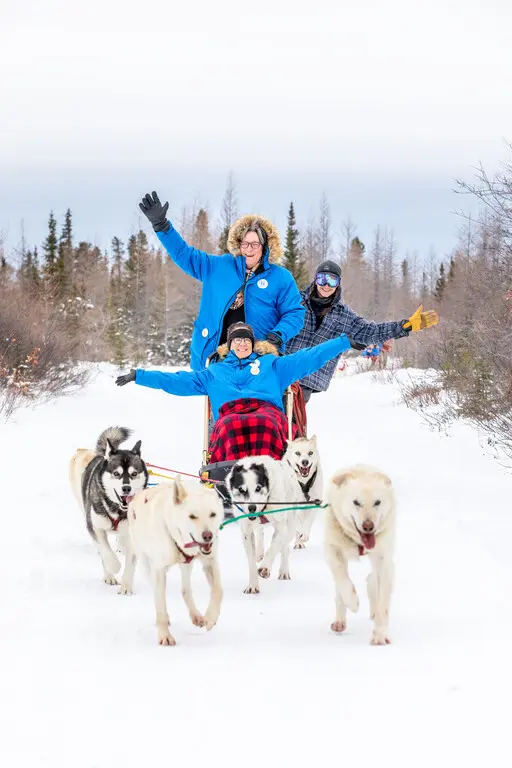 Nat Hab guests dog sledding, Churchill, Manitoba.