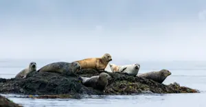 Slideshow Image Thumbnail 24 of 31