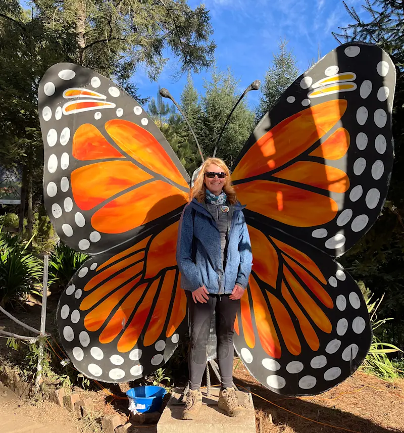 Transforming at El Rosario Sanctuary, outside of Angangueo, Mexico.