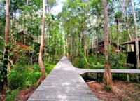 Slideshow Thumbnail 3 of 6