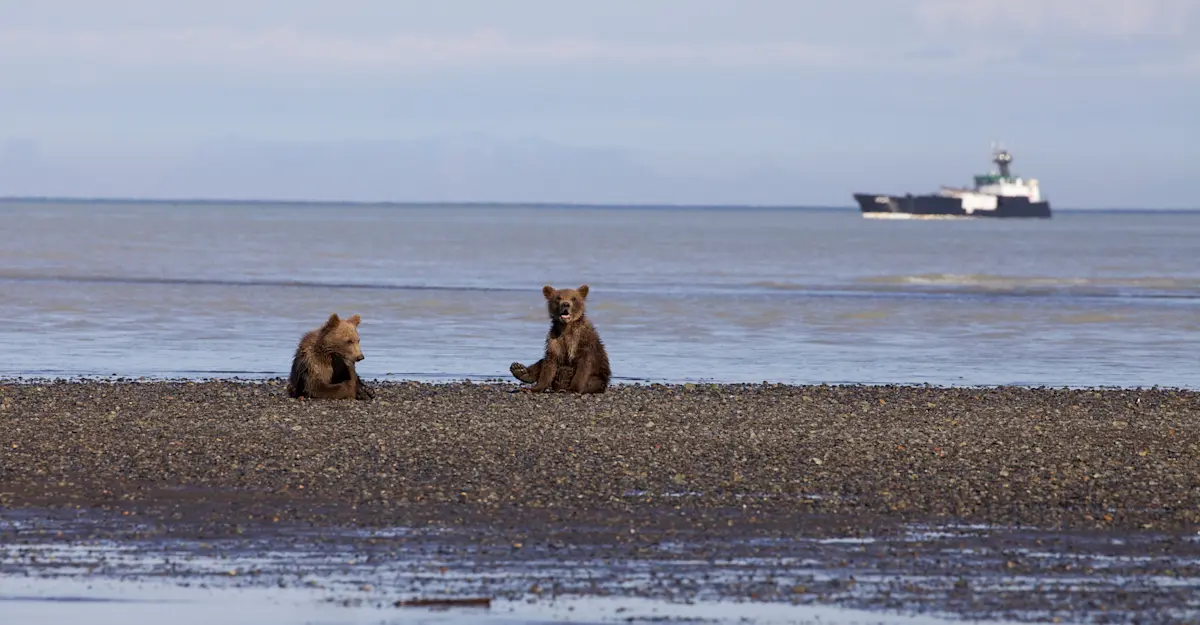 M/V Natural Habitat Ursus.