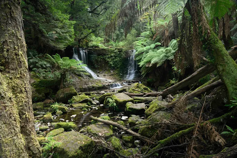 Horseshoe Falls, Mount Field National Park, Australia.