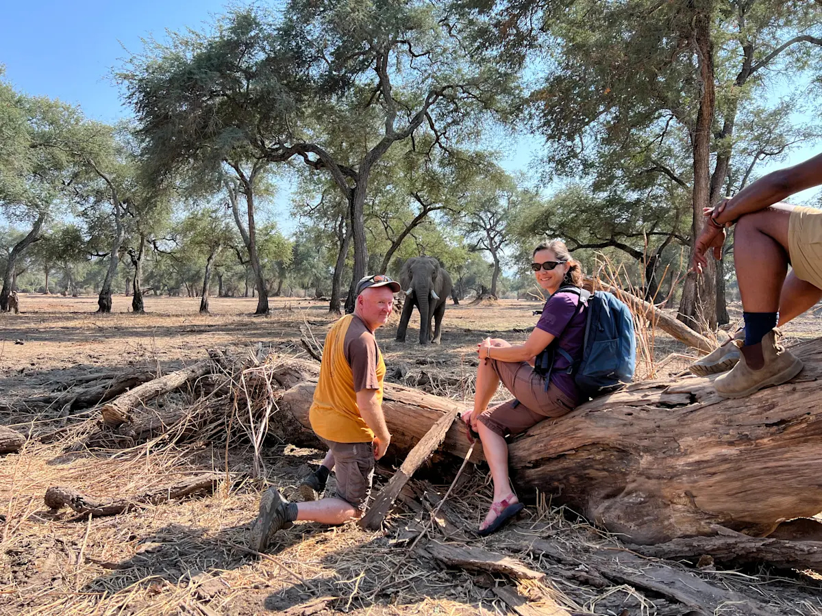 An elephant visitation in Mana Pools, Zimbabwe.