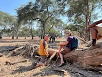 An elephant visitation in Mana Pools, Zimbabwe.
