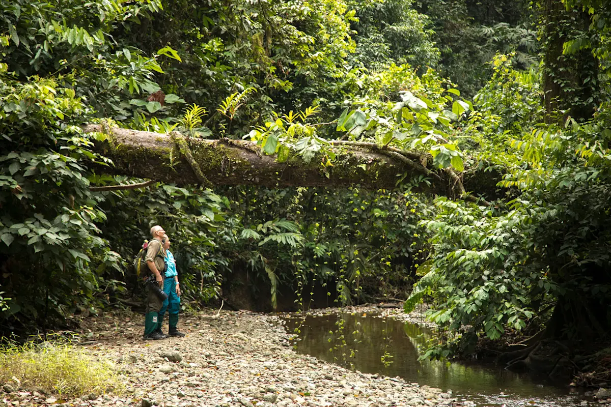 Nat Hab guests, Borneo.