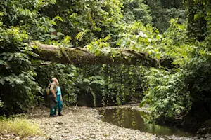 Nat Hab guests, Borneo.