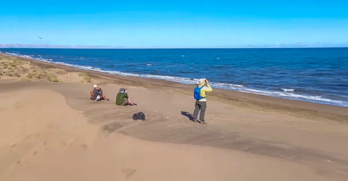 Earthwatch Expeditions Scientist and guests, Baja, Mexico.