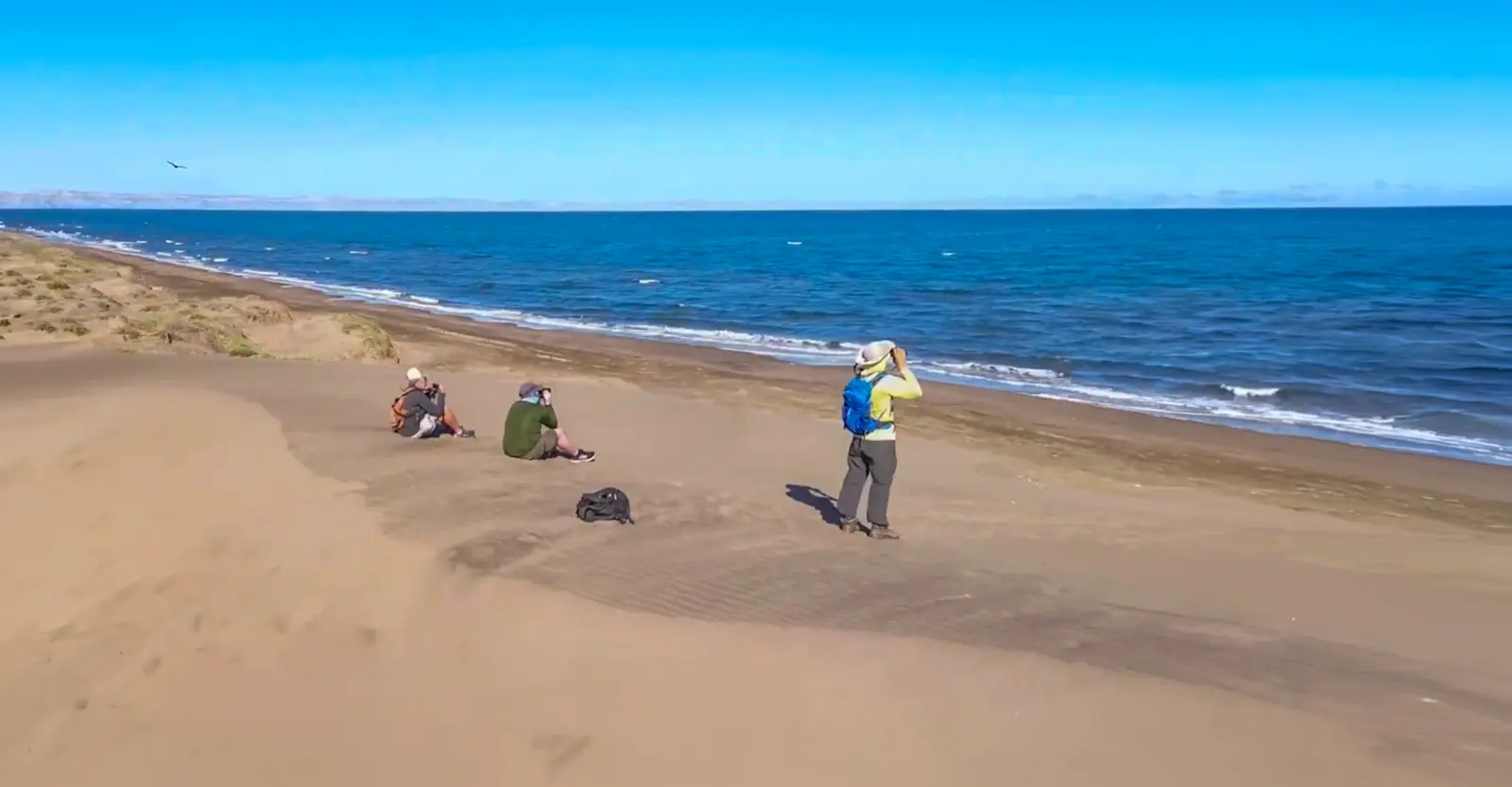 EW-Baja-BeachScanning-VideoScreenshot