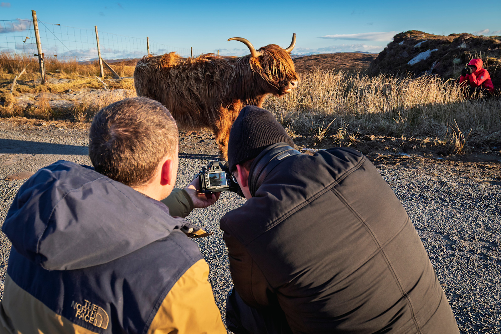Nat Hab guests, Scotland.