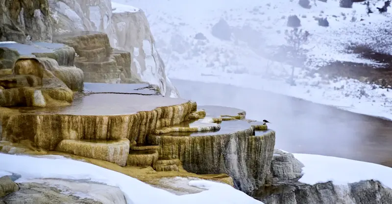 Mammoth Hot Springs, Yellowstone National Park.