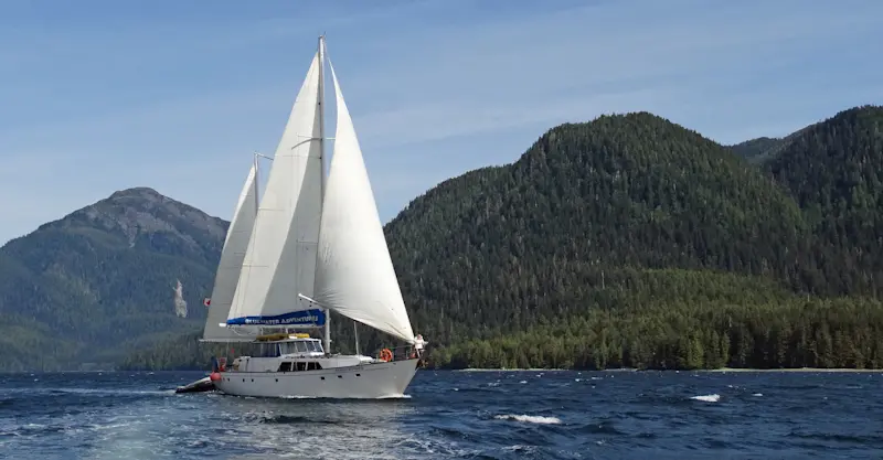 Island Roamer, Princess Royal Channel, British Columbia.  