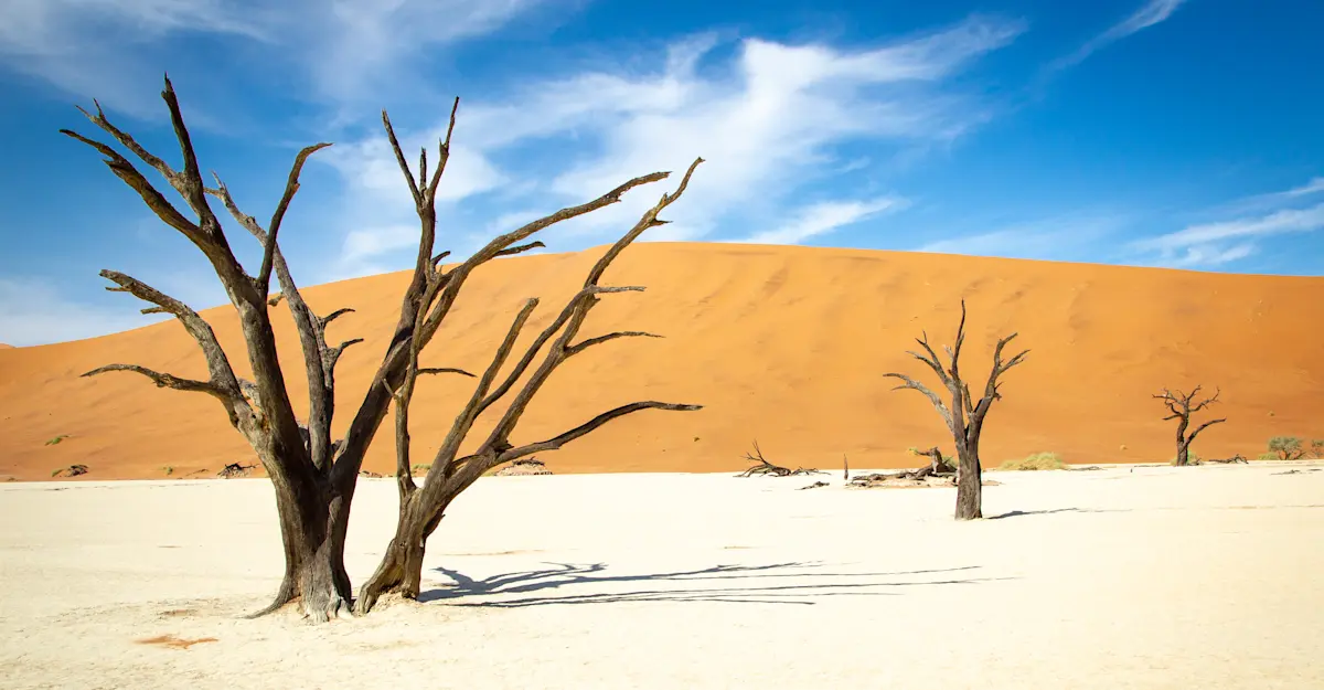 Namib Desert, Namibia.