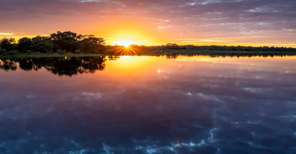 Sunset landscape, Pantanal.