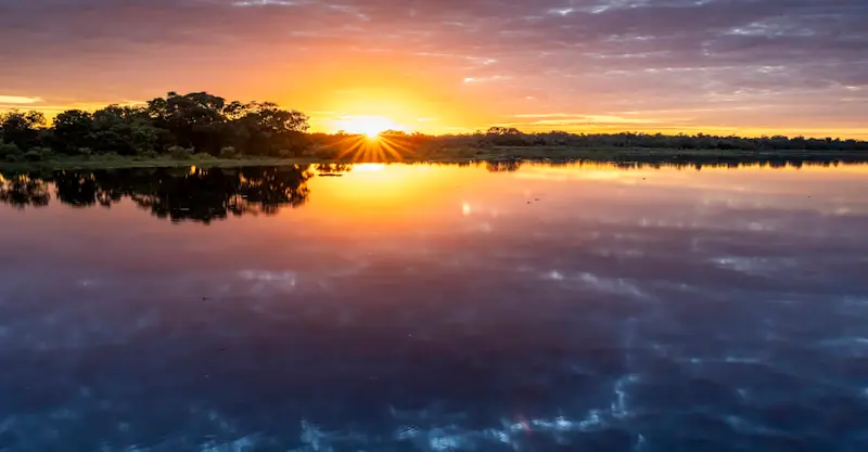 Sunset landscape, Pantanal