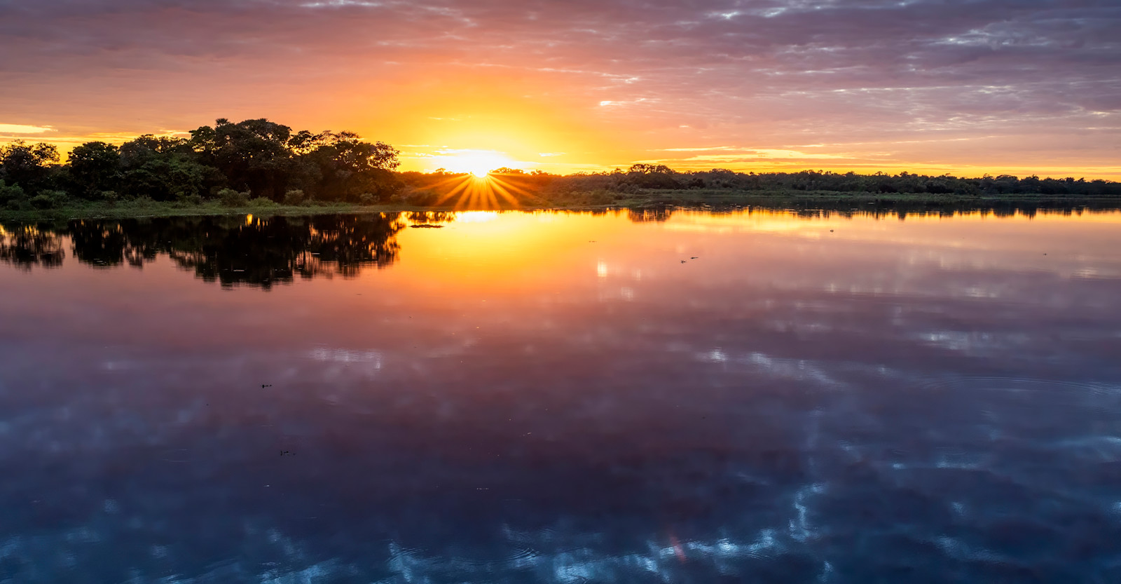 Sunset landscape, Pantanal