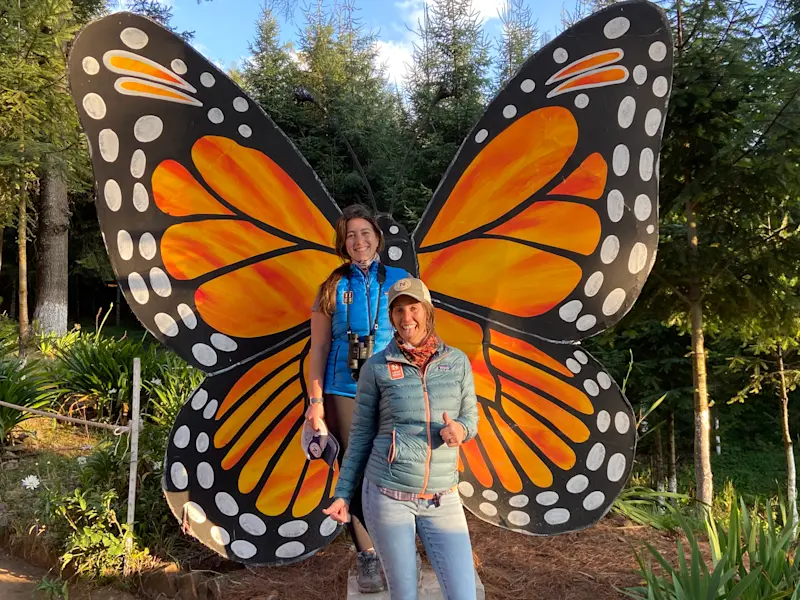 Viewing monarchs in Mexico.