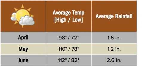 Beforeyougo|Asia|India|Ranthambore-chart