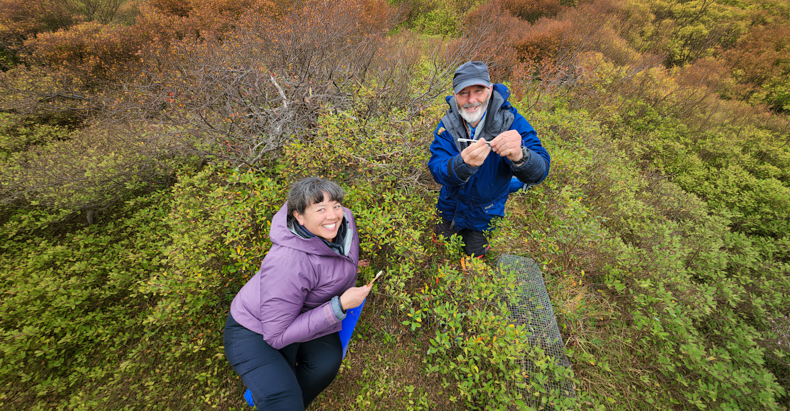 NAT-HAB-EW-Churchill-Permafrost-Fishback Fieldwork(C)EWE(002)-expanded