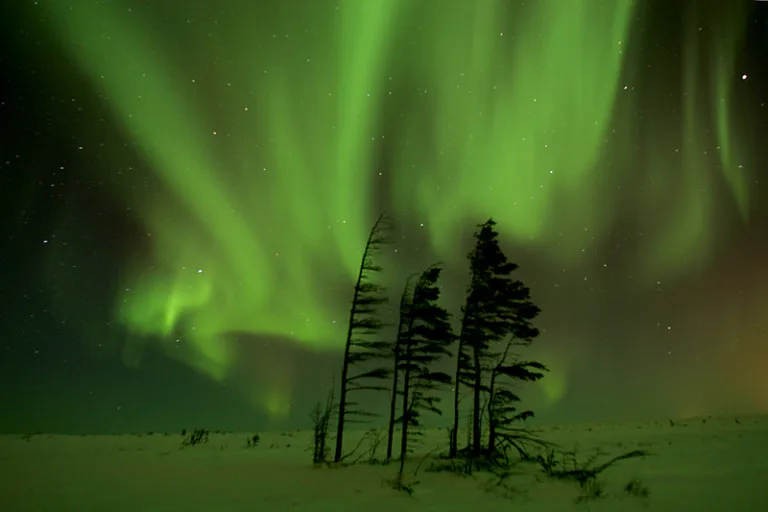 Beforeyougo|Alaska-North|Northern-Lights|Stories|Eric-Rock-lights-trees-768x512