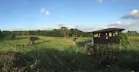 Panorama view of Nat Hab's Tortoise Camp