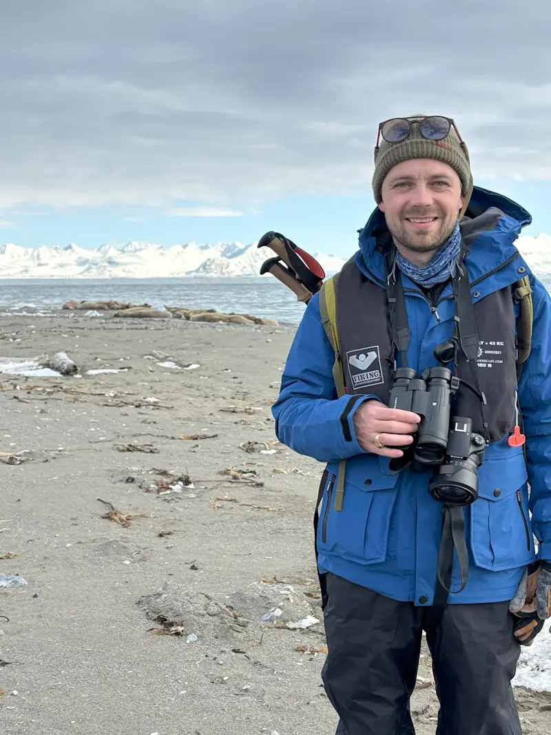 A gathering of Atlantic walruses in Svalbard, Norway.