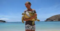 Tagging Juvenile Green Sea Turtles with NOAA, NMFS in Hawaii.