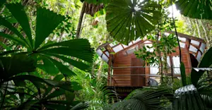 Cabin exterior view