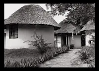Slideshow Thumbnail 8 of 15