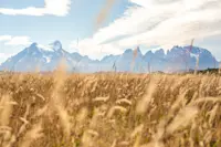 Capturing the stunning Torres del Paine in Chilean Patagonia.