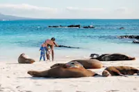 Guests and sea lions, Galapagos, Ecuador.