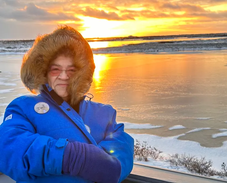 Polar bear report photo from November 5, 2023