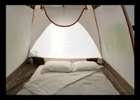 Slideshow Thumbnail 5 of 5
