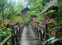 Slideshow Thumbnail 3 of 9