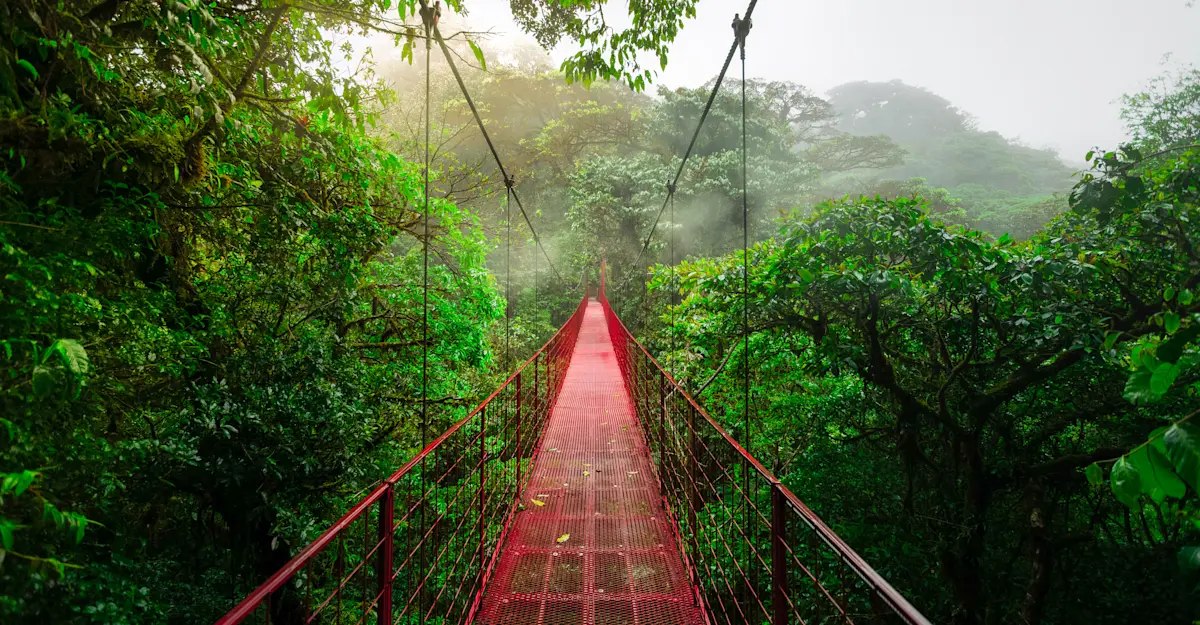 Suspension bridge, Monteverde Cloud Forest Reserve, Costa Rica.