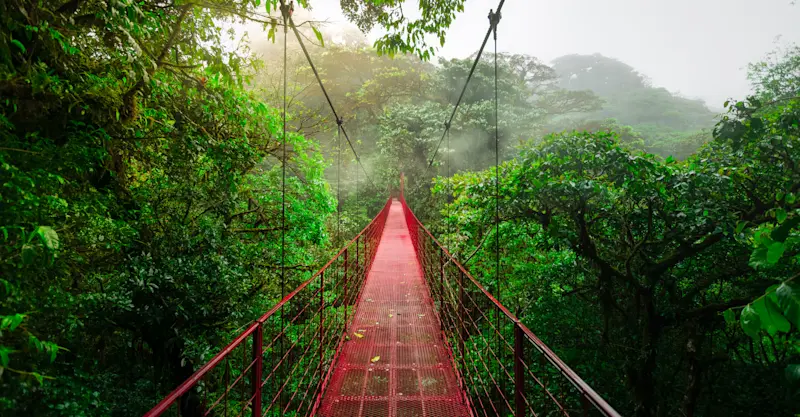 Suspension bridge, Monteverde Cloud Forest Reserve, Costa Rica.