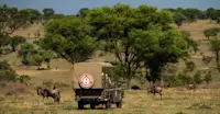 Wildebeests, Private Mara Conservancy, Kenya.
