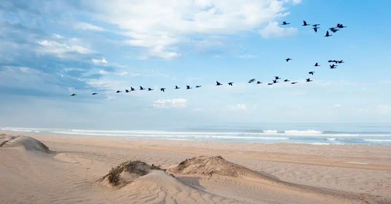 Hoanib Skeleton Coast, Namibia.
