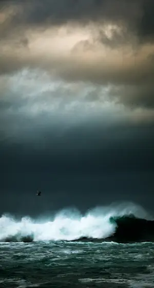 Slideshow Image Thumbnail 1 of 16