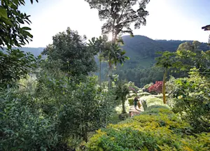 Mahogany Springs Lodge Bwindi Impenetrable National Park Uganda